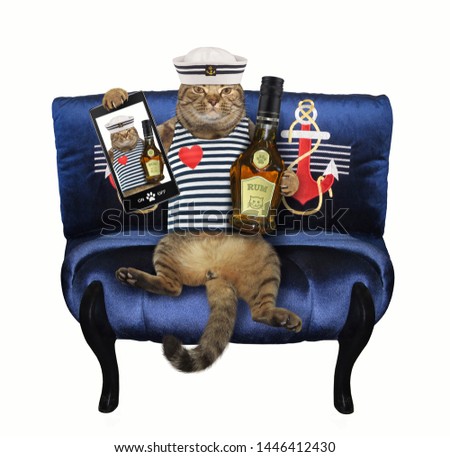 The cat sailor with a bottle of rum and a smartphone has made selfie on a blue couch. White background.