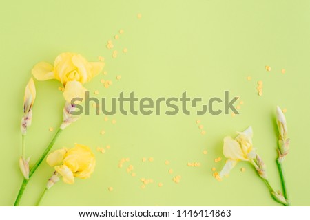Flat lay composition with yellow irises on a green background