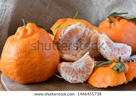 The Tangerines on a wooden table and a rustic fabric as a background