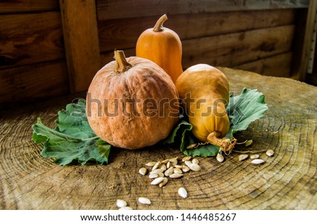 Autumn Still Life, Pumpkins with seeds  and cabbage leaves on a wooden table.