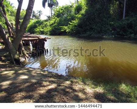Tropical river landscape Dominican republic                             