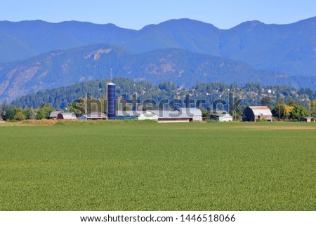 A wide open rural early corn field is bordered by a well established farm and silo in front of a steep, populated mountain. 