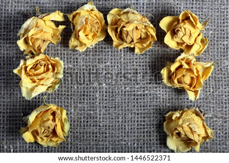 Dried flowers of yellow roses. Stacked on rough linen fabric.