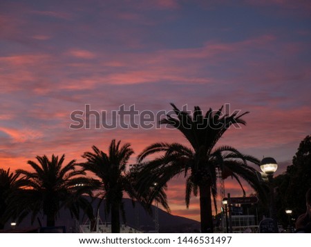palm trees red sunset Montenegro
