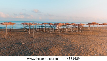 Tens of beach umbrellas stand on the beach in the early morning while nobody is around