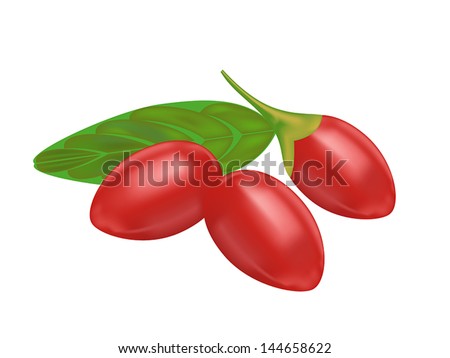 goji berry on white background,drawing by illustration Royalty-Free Stock Photo #144658622