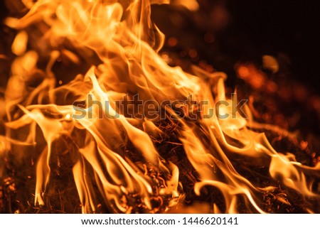 Large burning fire with soft glowing flame and sparkling around.Fire flames on black background
