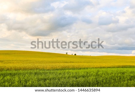 Wonderful field, hills, trees and blue sky with clouds in the countryside. Autumn landscape