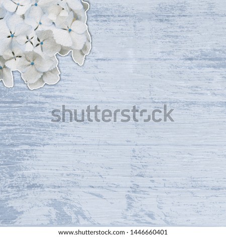 Beautiful cut and paste hydrangea flowers onto a distressed wood surface; background for photobook or scrapbook with room for text and pictures