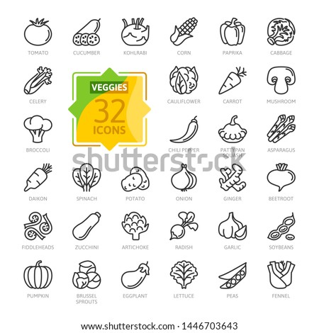 Vegetarian, vegetable, veggies - minimal thin line web icon set. Included the simple icons as kohlrabi, cauliflower, pattypan squash, fiddleheads, daikon. Outline icons collection Royalty-Free Stock Photo #1446703643