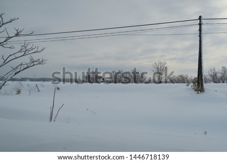 Landscape of winter roadside in Hokkaido, Japan