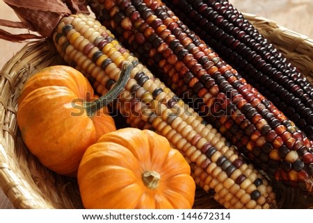 Pumpkins and indian corn arrangement Royalty-Free Stock Photo #144672314