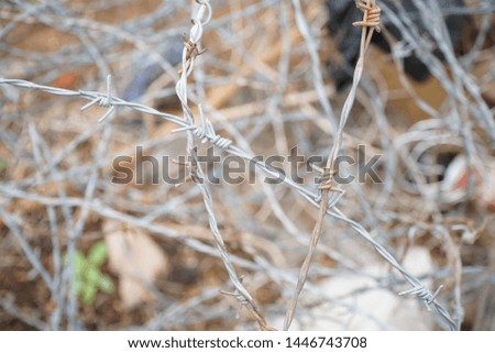 Metal wired with dry tree and empty field. background in the field