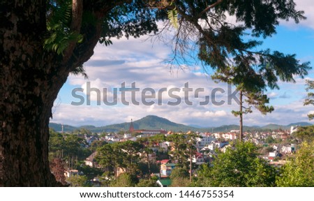 Landscape scenic photo of the peaceful and beautiful Dalat city, Lam Dong, Vietnam on a sunny summer day. Picture taken under the foliage of an old pine tree