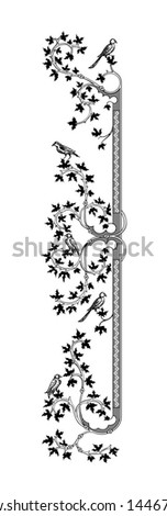 ornament with birds vector