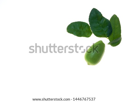 Lemon with leaves and stalks on a white background, Top view