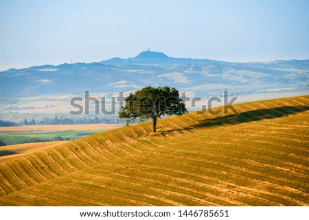 Sunrise over Tuscany fields in Italy 