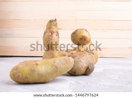 ugly three potatoes from garden, unwashed vegetables on grey background