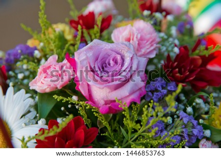 Bouquet of fresh purple roses . Paper bouquet of multicolored roses . Purple, red flower picture close up in the bouquet.
