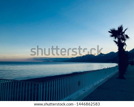Sunset with Palm tree beach