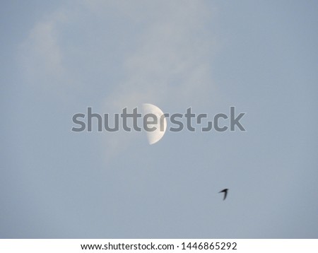 beautiful and spectacular photos of the moon and half moon
