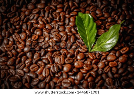 roasted coffee beans and green leaf for background