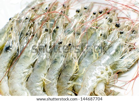 Raw shrimp on dish white background