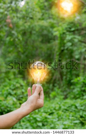 Light bulb energy green nature background