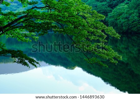 Quiet mountain lake in the morning reflecting mountain silhouette on water surface, through foreground foliage