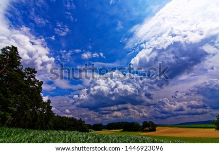 beautiful sky with clouds over the field near the forest