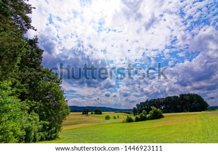 beautiful sky with clouds over the field near the forest