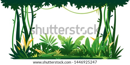 Wild jungle forest with trees, bushes and lianas on white background, decorative composition of jungle plants on one side, dense vegetation of the jungle, topical forest plants Royalty-Free Stock Photo #1446925247