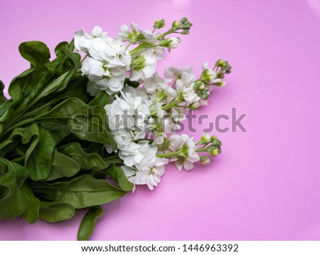 Beautiful romantic bouquet of delicate flowers. Copy space.