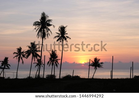 picture of coconut trees at the beach in the morning silhouette style