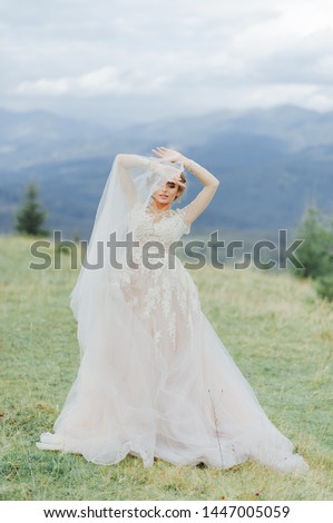 Stylish, beautiful bride posing in a luxurious dress. Fine Art Wedding Photography