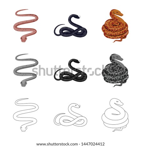 Vector design of mammal and danger symbol. Collection of mammal and medicine stock vector illustration.