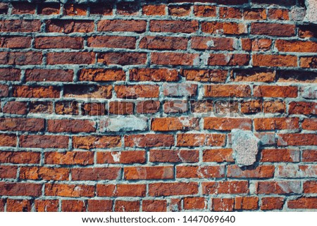 Texture of old brick wall for vintage background. The picturesque wall.