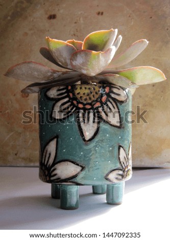 A closeup of a pretty ceramic flower pot with a beautiful flower in it on a grungy background