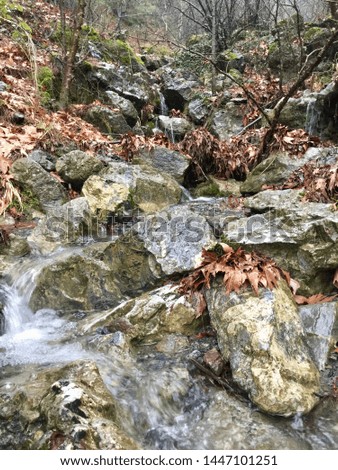 Beautiful deep forest waterfall. River in forest. Mossy stone in river.