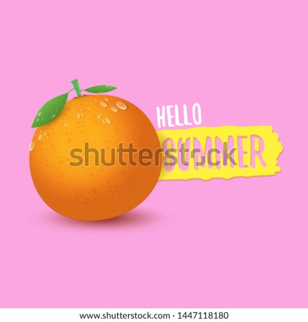 Vector Hello Summer label or flyer Design template with fresh orange fruit isolated on pink background. Hello summer concept label or poster with fruit and letternig text.