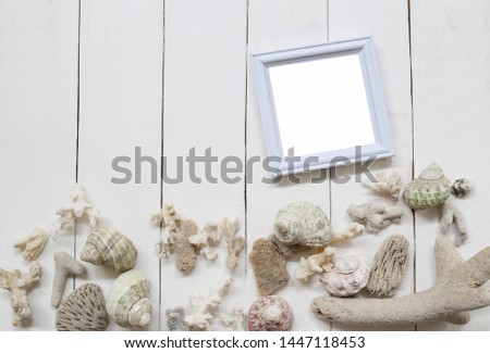 Wooden photo frame on a white wood floor and have Shells and coral reefs for Sea and summer tourism concept.
