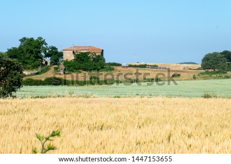 Italian countrised landscape with colored fields, trees, grass and flowers and blue sky