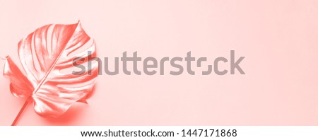 Floral minimal style concept. Exotic summer trend. Golden tropical palm monstera leaf on trendy coral color background. Shiny and sparkle design, fashion concept