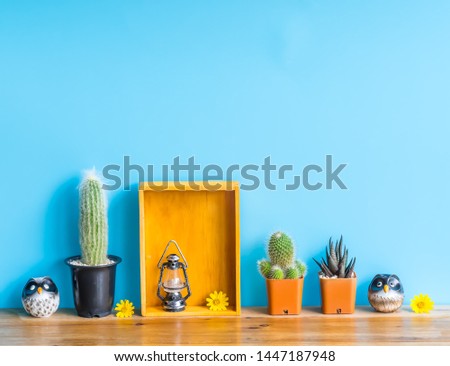 Beautiful  cactus,wooden  shelf  and  simulated  owl  on  wood  table  with  blue  background
