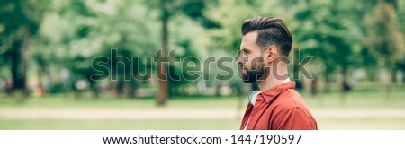 panoramic shot of man standing in park and looking away