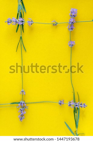 round or square frame of a bouquet of fresh lavender flowers on a bright yellow background, top view. Copy space. Flat lay.