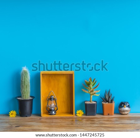 Beautiful  cactus,wooden  shelf   and  simulated  owl  on  wood  table  with  blue  background