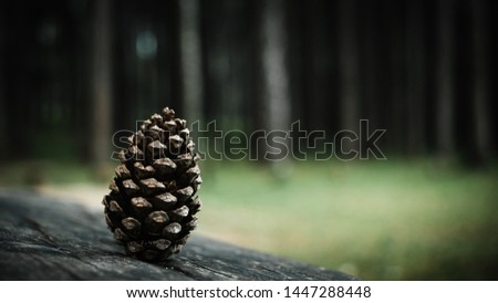 Pine cones on wood board with blur background.