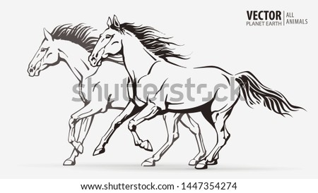 Beautiful arabian horses. Silhouettes of a running horses. Galloping animal. Sport. Vector illustration