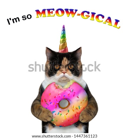 The cat unicorn is holding a big colored donut cone. I'm so meowgical. White background. Isolated.